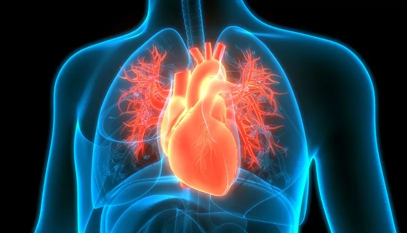 Procedimientos Cardiológicos
